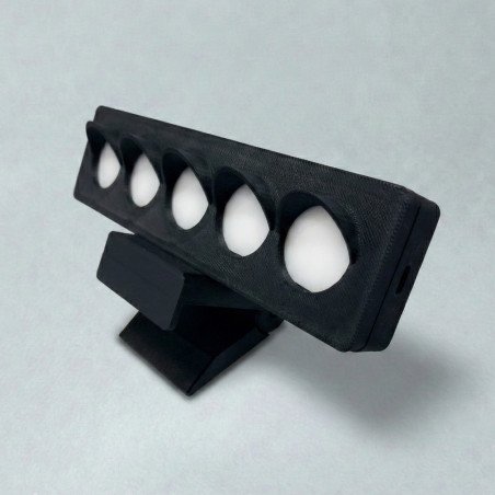 Starting Light Sim Racing – Feux de départ F1 & GT